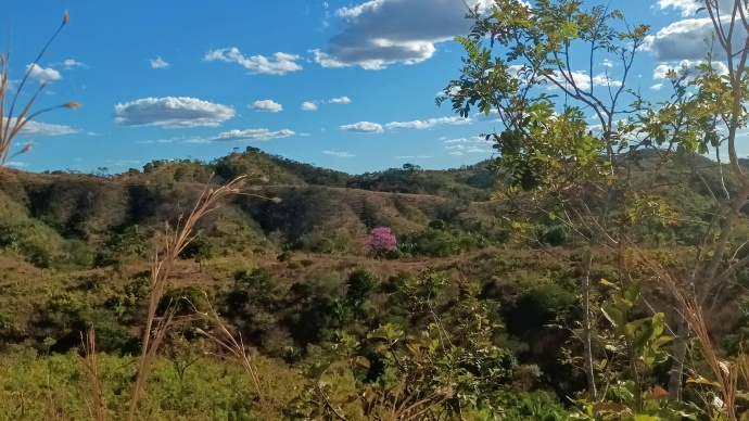 Salmos: De Cânticos Antigos à Vida Atual
